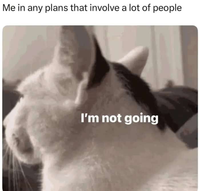 introvert memes, social anxiety memes, relatable memes, quiet humor, group chat memes, shy memes, awkward memes, social battery memes, homebody jokes, meme therapy, anxiety jokes, funny memes, mental health memes, alone time memes, pajama memes, introvert jokes, cancelled plans memes, WiFi memes, weekend memes