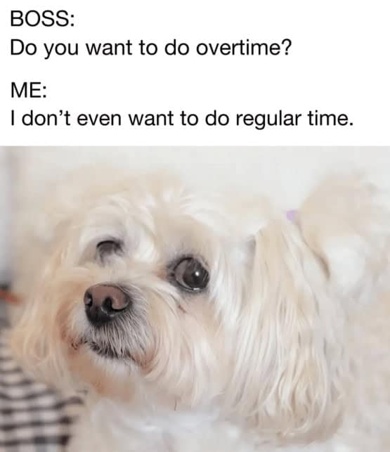 introvert memes, social anxiety memes, relatable memes, quiet humor, group chat memes, shy memes, awkward memes, social battery memes, homebody jokes, meme therapy, anxiety jokes, funny memes, mental health memes, alone time memes, pajama memes, introvert jokes, cancelled plans memes, WiFi memes, weekend memes