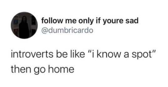 introverts be like "i know a spot" then go home