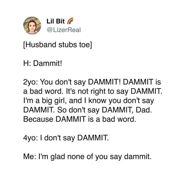 [Husband stubs toe] H: Dammit! 2yo: You don't say DAMMIT! DAMMIT is a bad word. It's not right to say DAMMIT. I'm a big girl, and I know you don't say DAMMIT. So don't say DAMMIT, Dad. Because DAMMIT is a bad word. 4yo: I don't say DAMMIT. Me: I'm glad none of you say dammit.