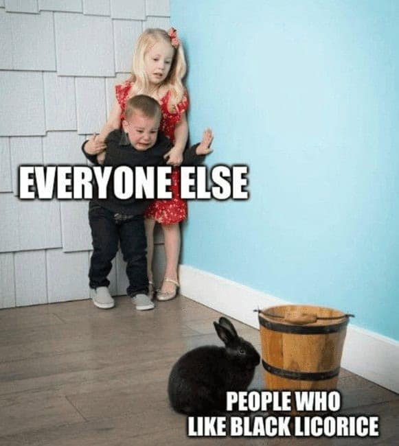 liquorice memes, black licorice, polarizing candy, anise memes, candy humor, licorice jokes, candy feud memes, snack memes, flavor debate memes, taste-bud memes, candy lovers memes, gourmet candy memes, twist candy memes, confection memes, snack rivalry memes, candy culture memes, licorice lovers, candy debate memes