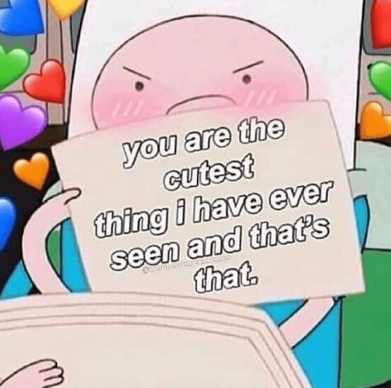 you are the cutest thing i have ever seen and that's that.