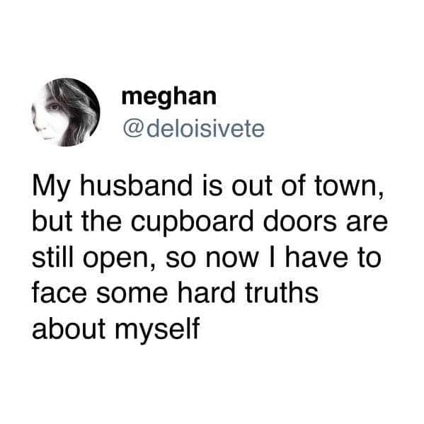 My husband is out of town, but the cupboard doors are still open, so now I have to face some hard truths about myself