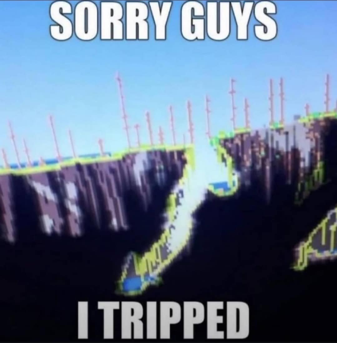 SORRY GUYS I TRIPPED