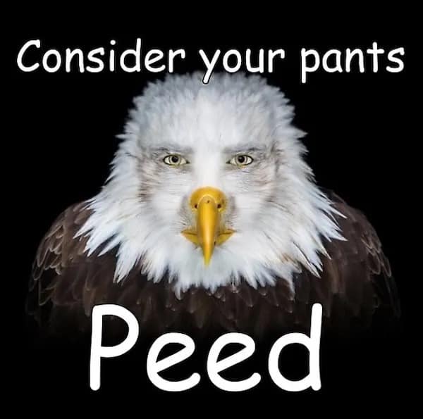 Consider your pants Peed