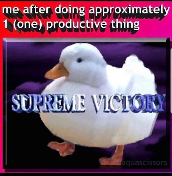 meme dump, funny memes, hilarious memes, trending memes, group chat memes, Sunday memes, viral memes, lazy day memes, meme scroll, classic memes, procrastination memes, weekend memes, meme gallery, joke dump, Sunday laughs, comfort memes, meme distractions, chill memes, best memes, internet memes