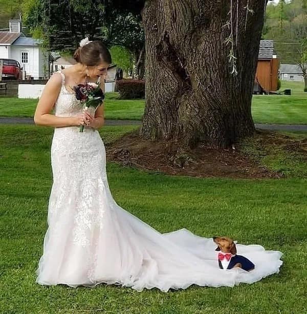 meme dump, funny memes, hilarious memes, trending memes, viral memes, office memes, lunch memes, break-time memes, humor memes, internet memes, dank memes, laugh memes, meme collection, daily memes, dank meme dump, internet meme, memes funny