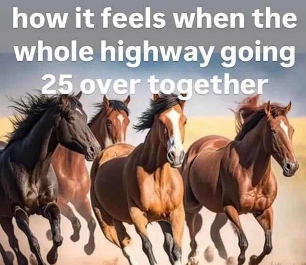meme dump, funny memes, hilarious memes, trending memes, instant memes, laugh memes, daily humor, dank memes, comic relief, snackable humor, internet memes, break-time memes, viral humor, short memes, meme collection, fast giggles, dank meme dump