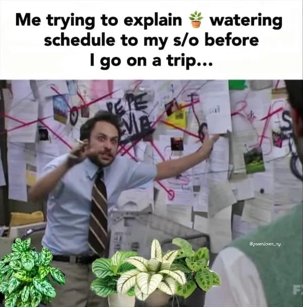 meme dump, funny memes, hilarious memes, trending memes, viral memes, office memes, lunch memes, break-time memes, humor memes, internet memes, dank memes, laugh memes, meme collection, daily memes, dank meme dump, internet meme, memes funny