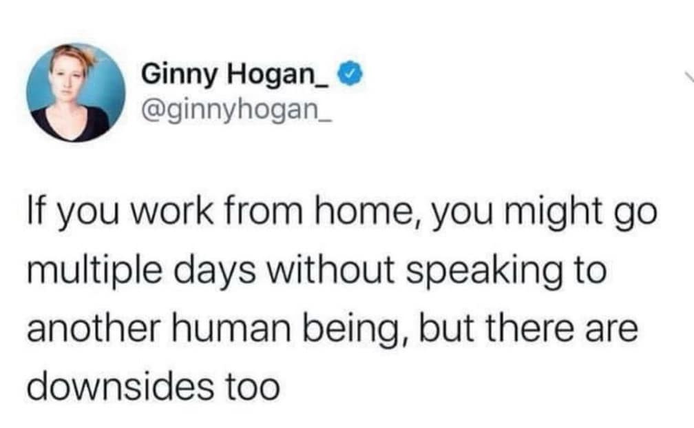 Ginny Hogan_ • @ginnyhogan_ If you work from home, you might go multiple days without speaking to another human being, but there are downsides too