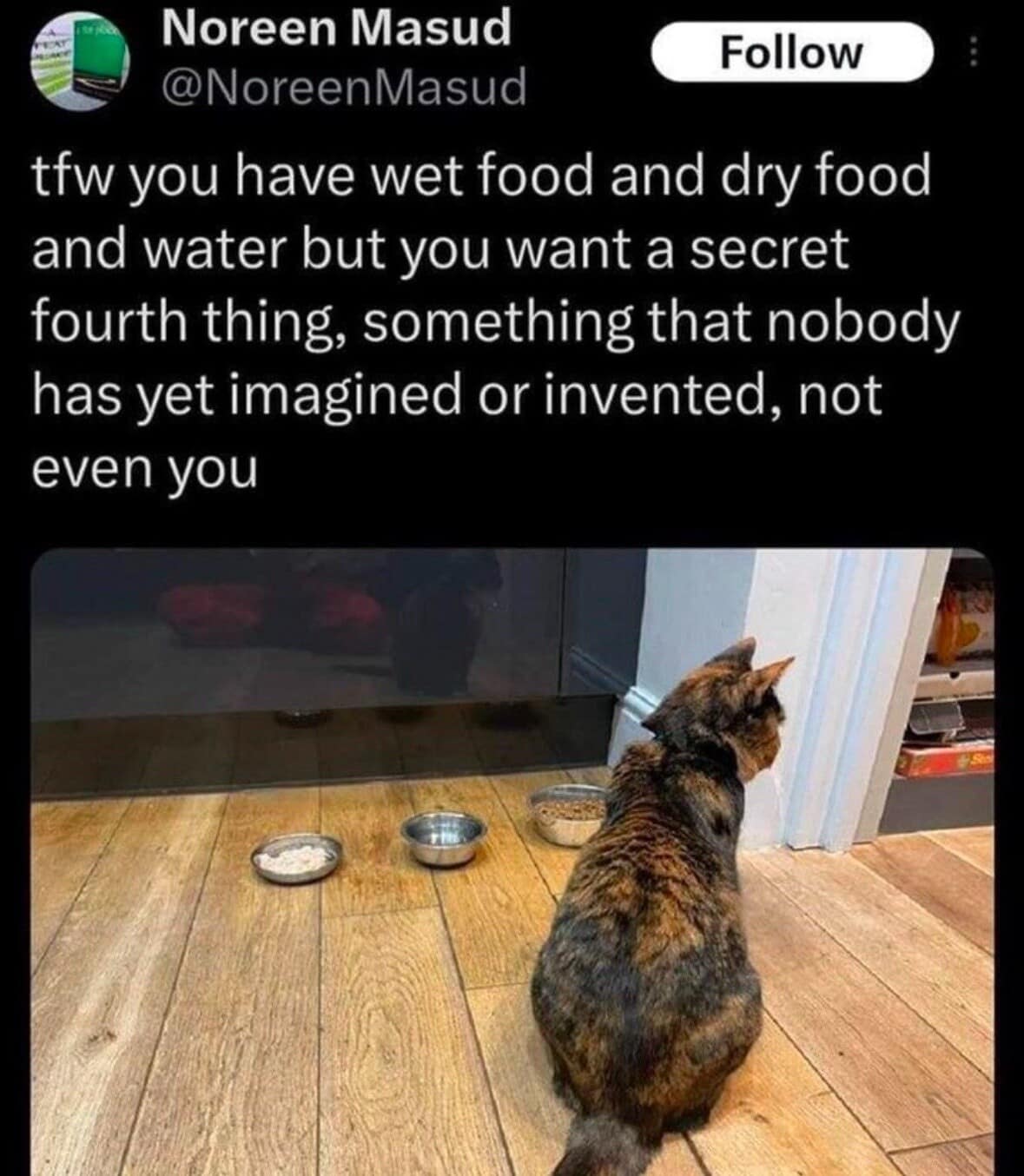 Noreen Masud Follow @NoreenMasud tfw you have wet food and dry food and water but you want a secret fourth thing, something that nobody has yet imagined or invented, not even you
