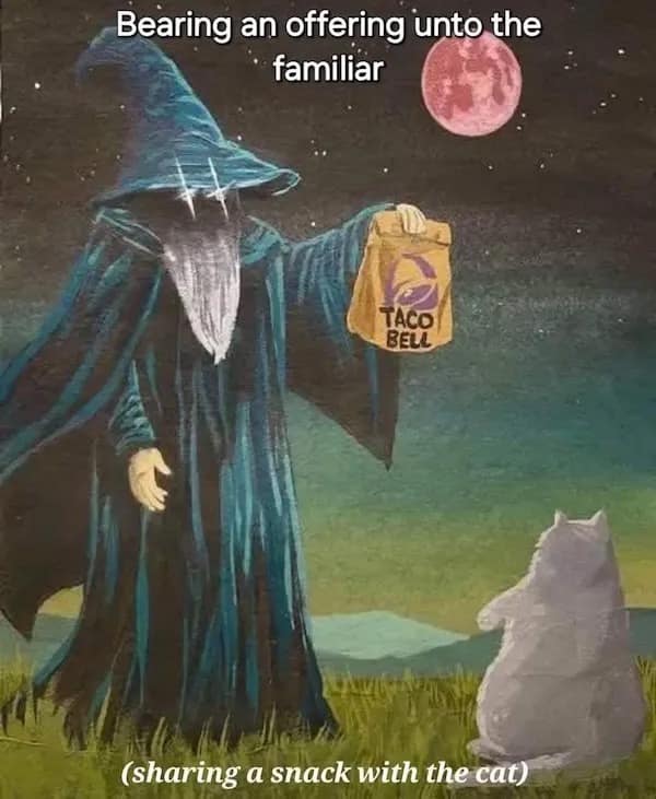 Bearing an offering unto the familiar TACO BELL (sharing a snack with the cat)