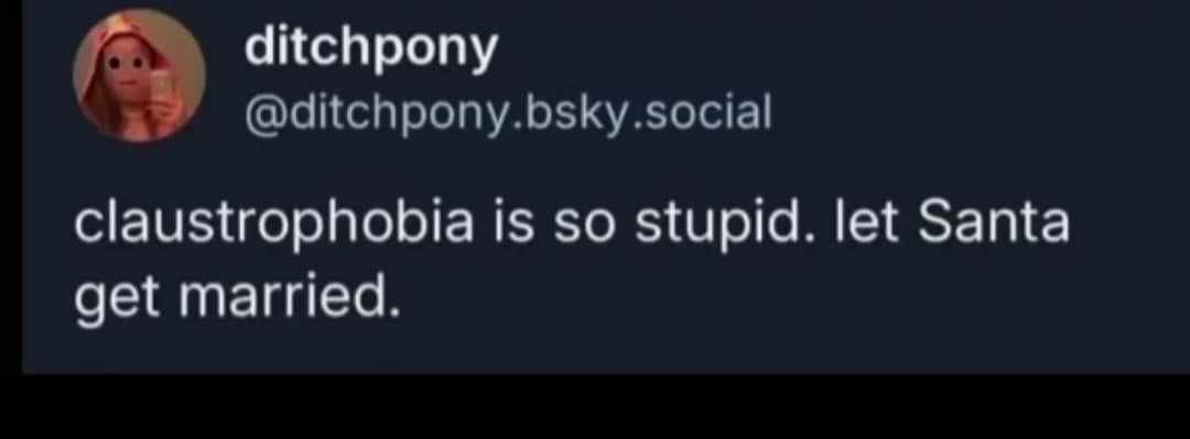 ditchpony @ditchpony.bsky.social claustrophobia is so stupid. let Santa get married.