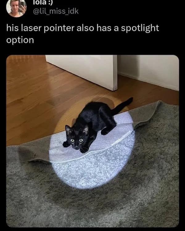 lola :) @lil_miss_idk his laser pointer also has a spotlight option