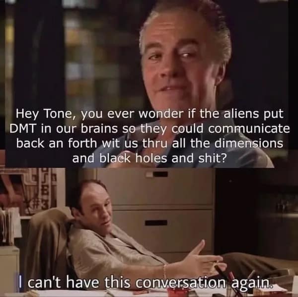 Hey Tone, you ever wonder if the aliens put DMT in our brains so they could communicate back an forth wit us thru all the dimensions and black holes and shit? I can't have this conversation again.