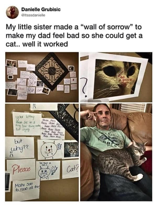 viral memes, dank memes, trending memes, meme collection, meme gallery, group chat, internet humor, lunch break, viral fails, meme batch, random memes, zoom memes, group chat chaos, meme laughs, new memes, daily memes, meme picks, best memes, internet memes