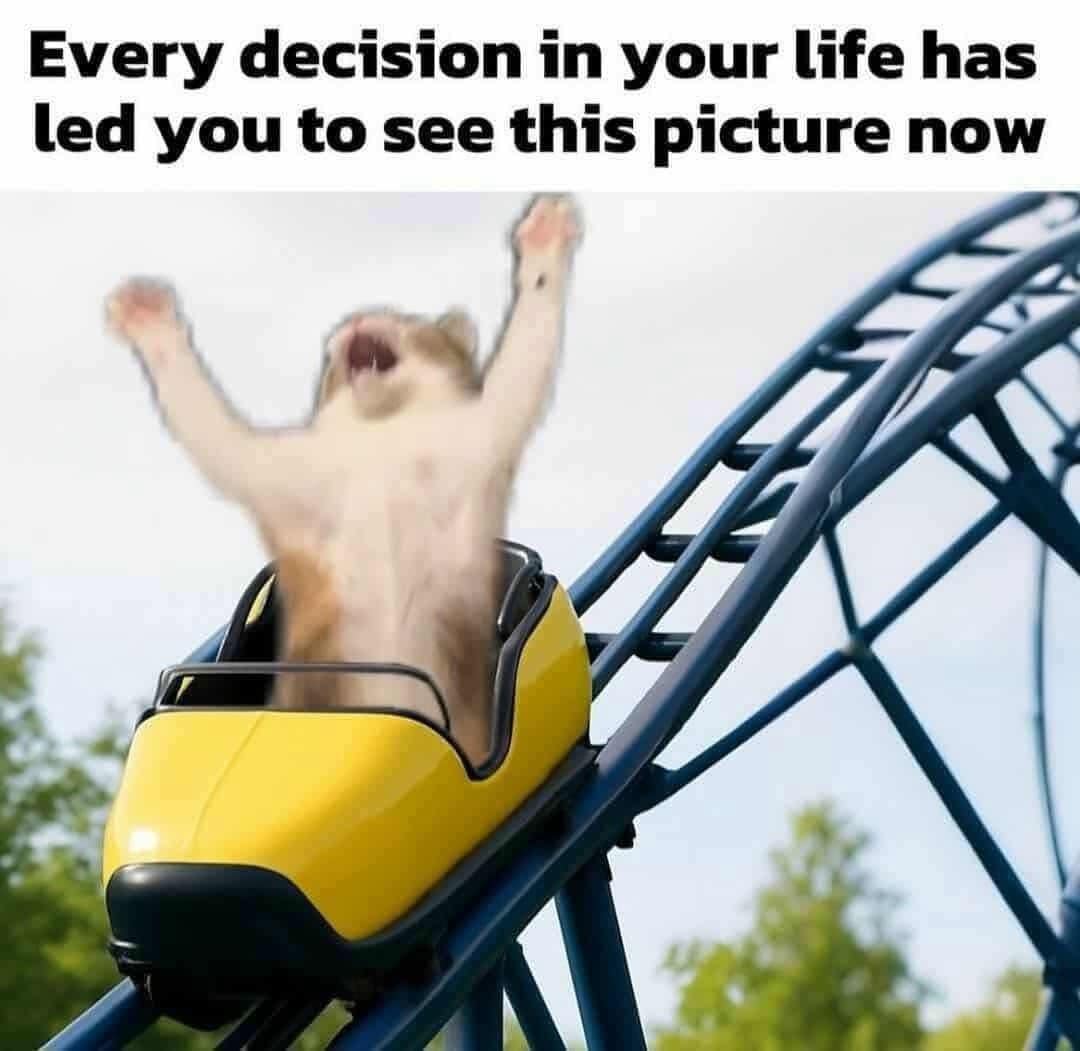 Every decision in your life has led you to see this picture now