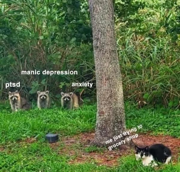manic depression ptsd anxiety me just trying to grocery shop