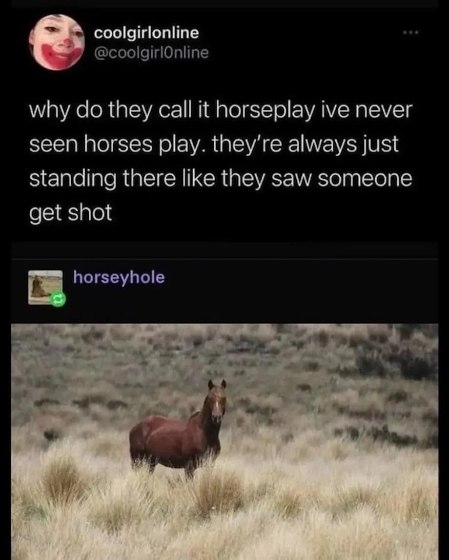 coolgirlonline @coolgirlOnline why do they call it horseplay ive never seen horses play. they're always just standing there like they saw someone get shot horseyhole