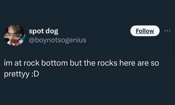 spot dog @boynotsogenius Follow im at rock bottom but the rocks here are so prettyy :D ...