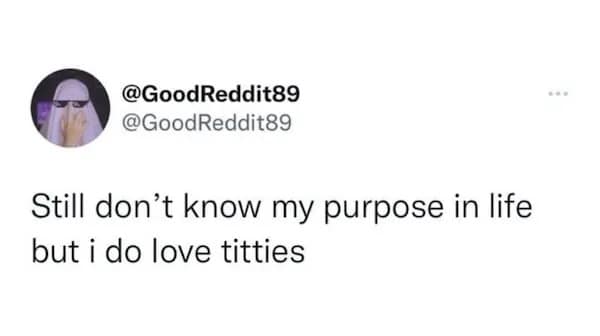 @GoodReddit89 @GoodReddit89 Still don't know my purpose in life but i do love titties
