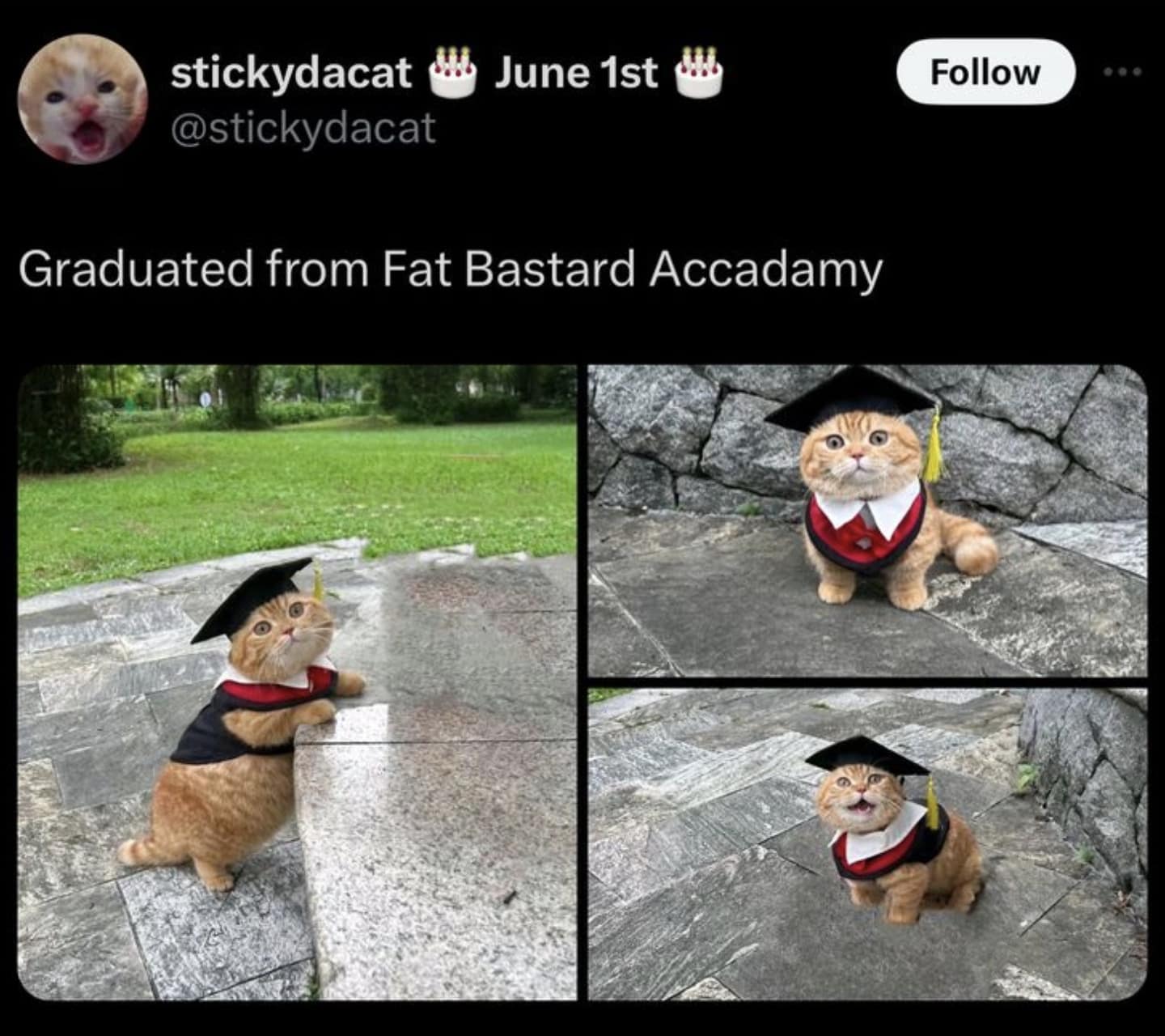 meme dump, funny memes, hilarious memes, viral memes, fresh memes, trending memes, relatable memes, daily memes, internet humor, meme collection, lunchtime memes, popular memes, laugh out loud, meme therapy, instant laughs, dank memes, dank meme dump