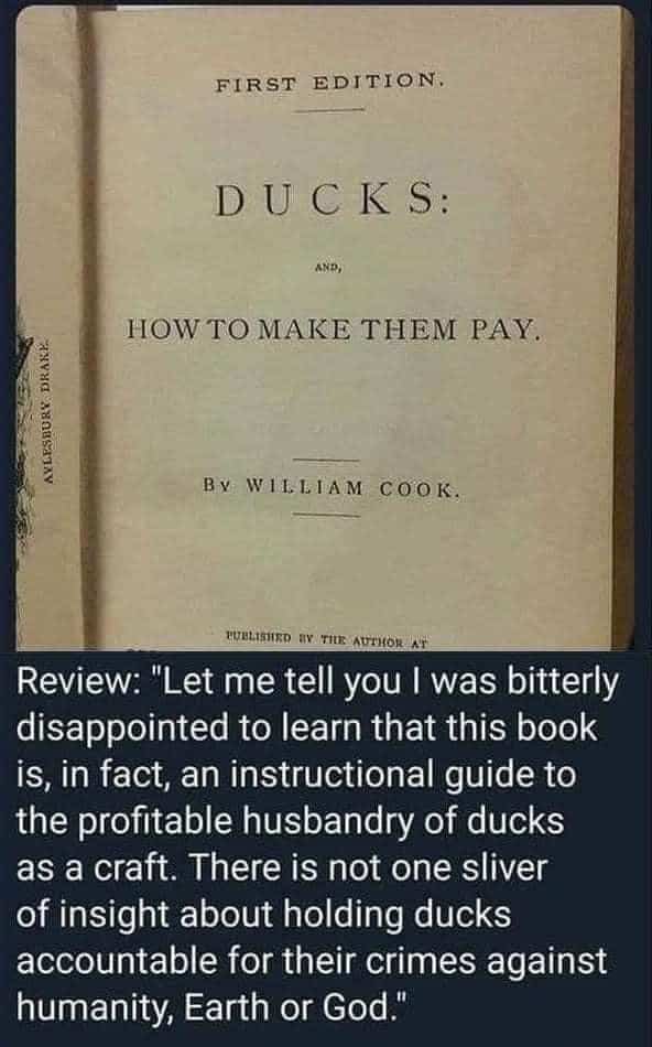 meme dump, funny memes, hilarious memes, dank memes, internet memes, meme gallery, viral memes, meme collection, random memes, meme culture, fresh memes, reaction memes, meme batch, trending memes, meme therapy, best memes, funny internet, new memes, meme scroll, joke dump