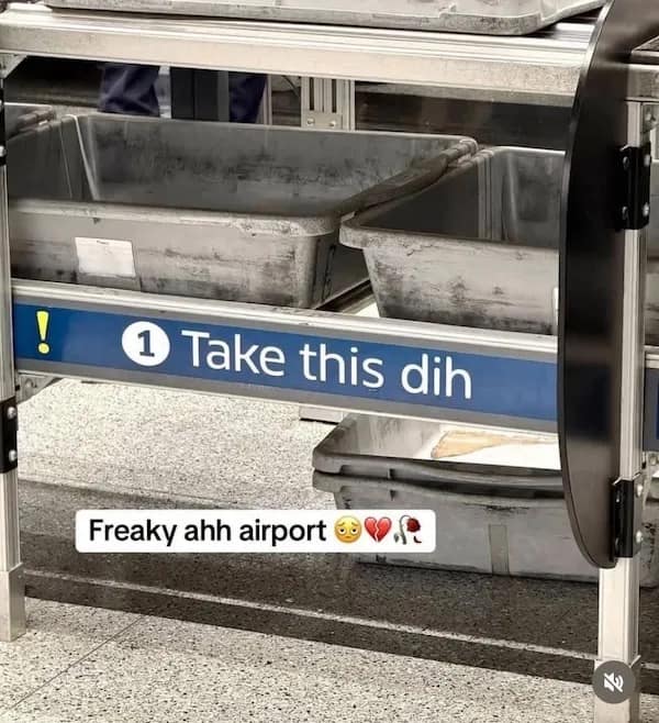 meme dump, funny memes, hilarious memes, meme collection, meme stash, dank memes, best memes, viral memes, fresh memes, internet memes, laugh memes, humor memes, meme roundup, trending memes, daily memes, meme batch, comedy memes, top memes, pic dump, meme bundle, memes funny, internet meme