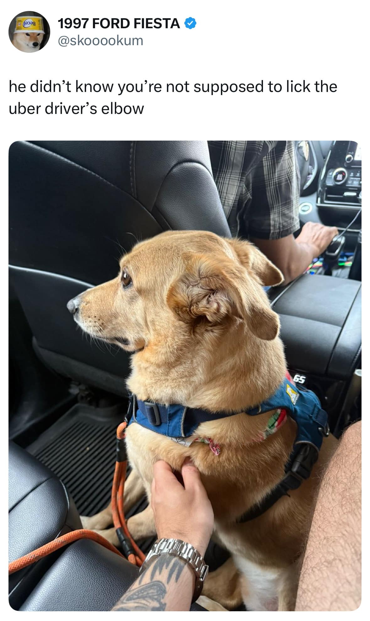 meme dump, funny memes, hilarious memes, trending memes, dank memes, viral memes, office memes, work memes, internet memes, snackable humor, break-time memes, digital comedy, lunchtime laughs, internet memes, shareable memes, comic relief, midday pick-me-up, group chat memes, viral humor, quick punchlines, endless scroll memes, caffeine replacement memes