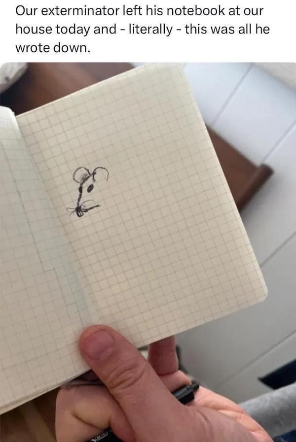 meme dump, funny memes, hilarious memes, viral memes, fresh memes, trending memes, relatable memes, daily memes, internet humor, meme collection, lunchtime memes, popular memes, laugh out loud, meme therapy, instant laughs, dank memes, dank meme dump