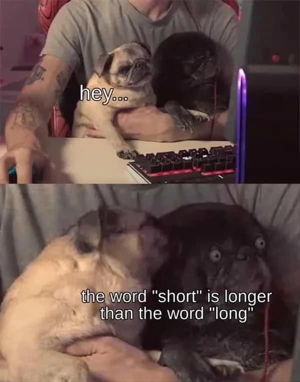 meme dump, funny memes, hilarious memes, trending memes, viral memes, dank memes, internet memes, weekend memes, Saturday memes, meme collection, snackable humor, comedy scroll, laughter break, meme gallery, laugh out loud, digital comedy, chill memes, meme binge, free time memes, humor break, casual memes, instant laughs