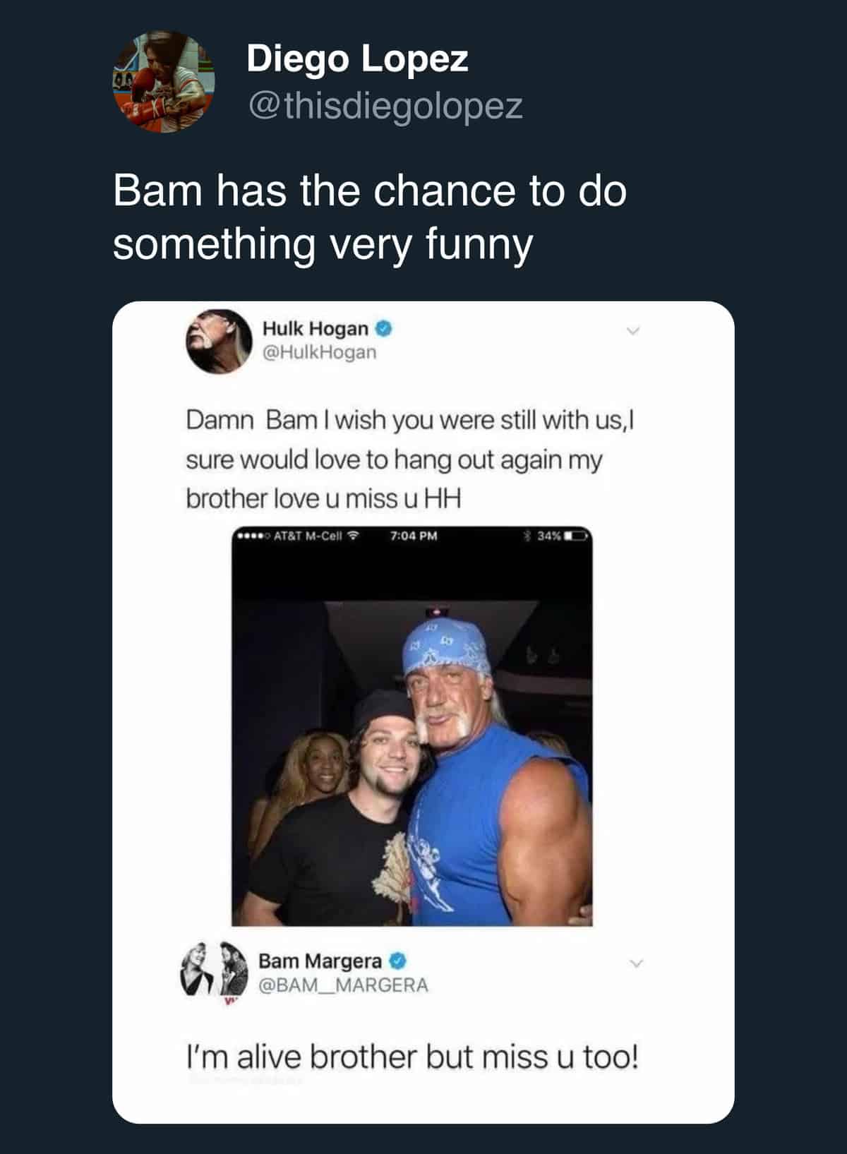 meme dump Hulk Hogan Bam Margera funny celebrity tweet meme