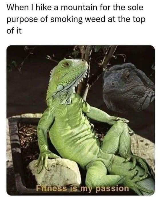 When I hike a mountain for the sole purpose of smoking weed at the top of it Fitness is my passion