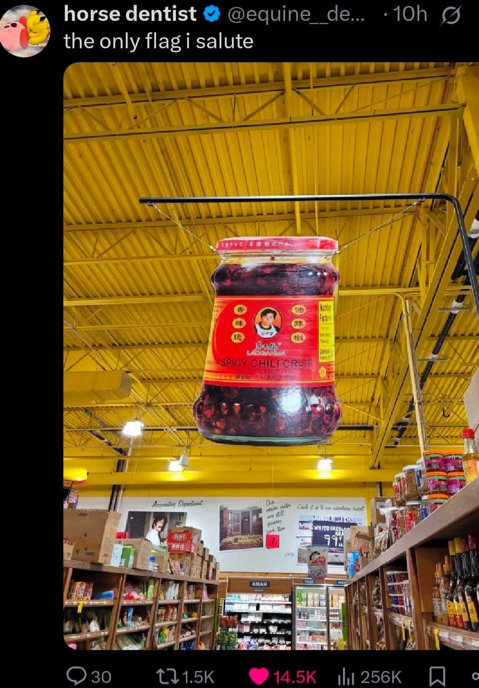 horse dentist ® @equine_de... - 10h 3 the only flag i salute SPICY CHILI CRISE 030 271.5K 14.5K ill 256K