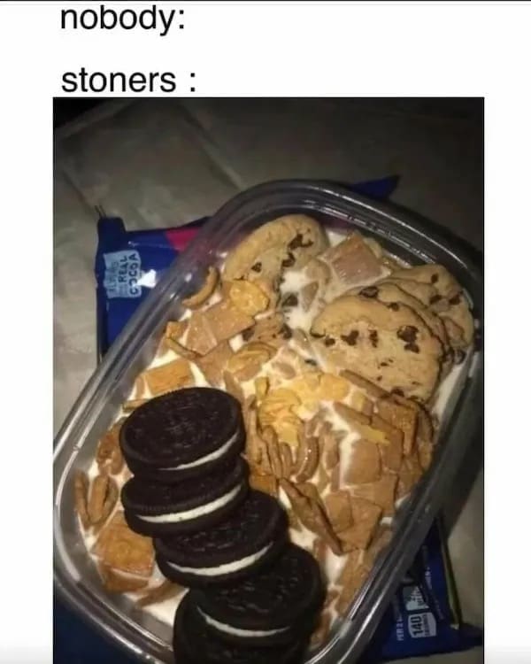 nobody: stoners :