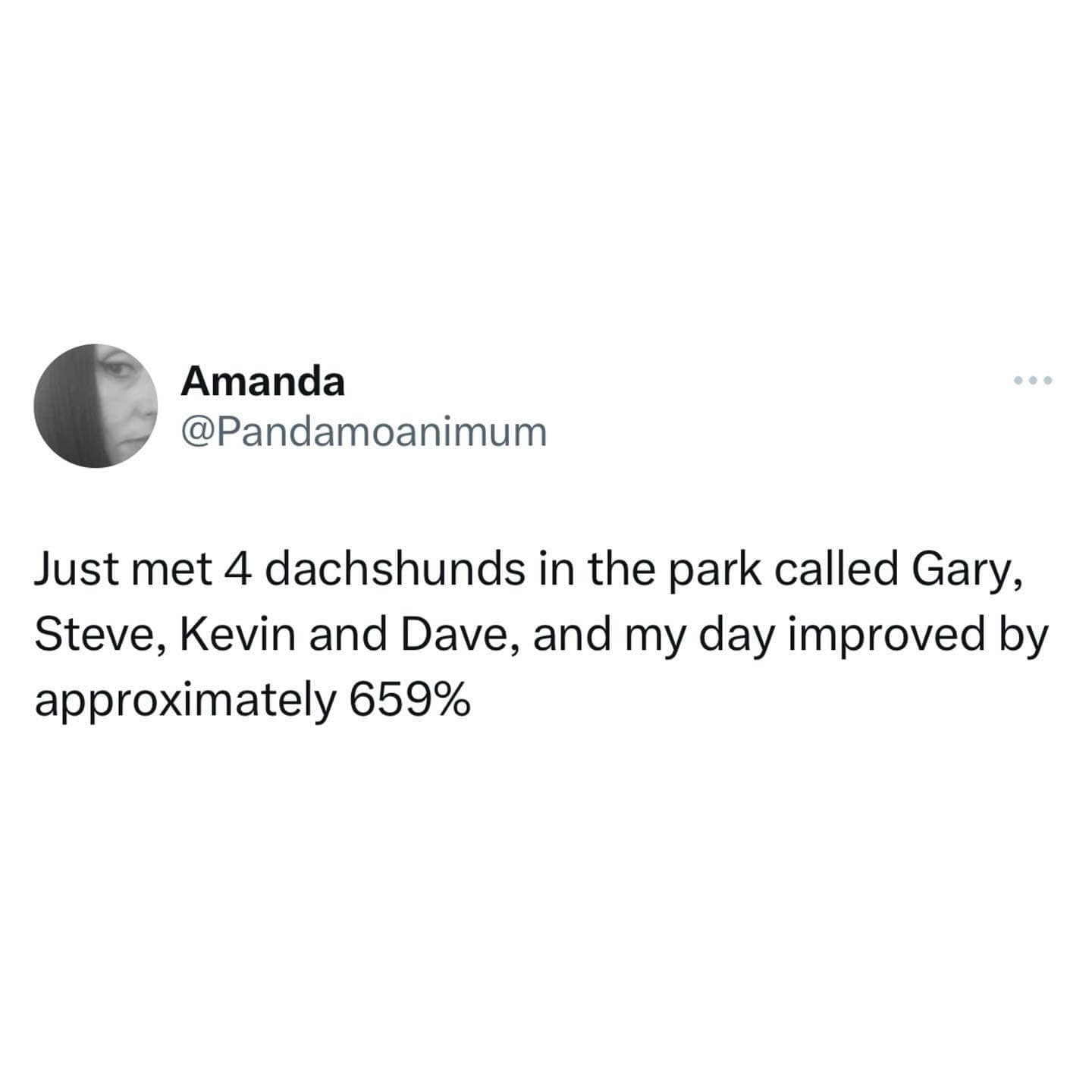 Amanda @Pandamoanimum Just met 4 dachshunds in the park called Gary, Steve, Kevin and Dave, and my day improved by approximately 659%