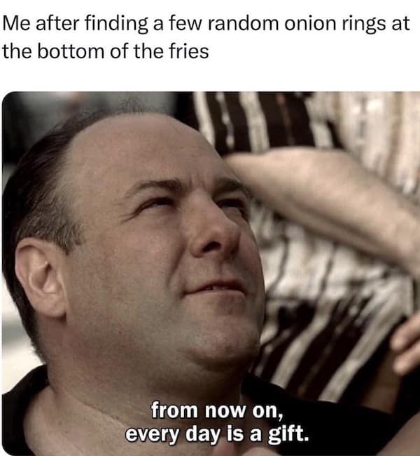 Me after finding a few random onion rings at the bottom of the fries from now on, every day is a gift.