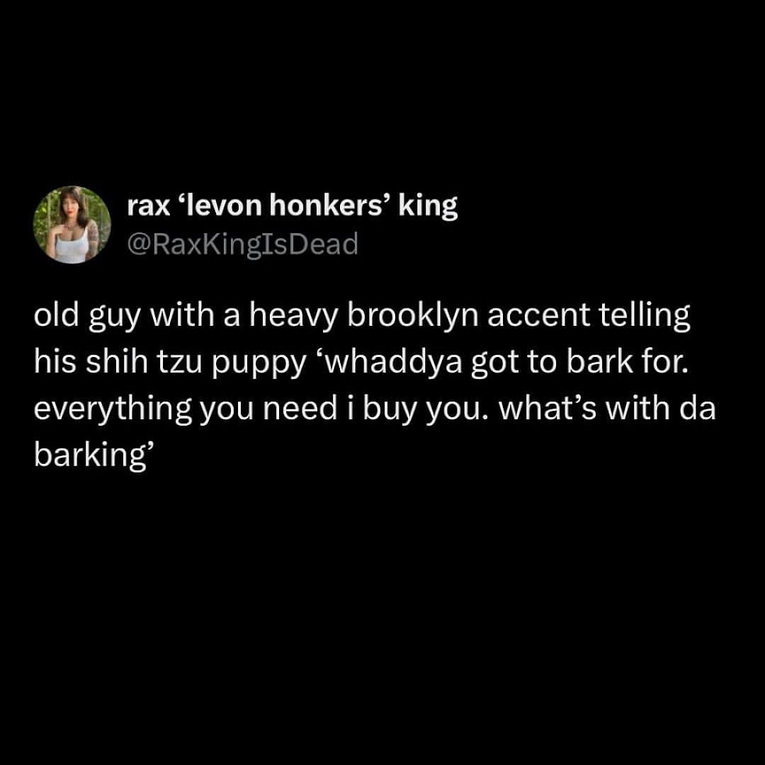 rax 'levon honkers' king @RaKingIsDead old guy with a heavy brooklyn accent telling his shih tzu puppy whaddya got to bark for. everything you need i buy you. what's with da barking