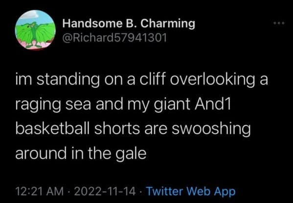 im standing on a cliff overlooking a raging sea and my giant And1 basketball shorts are swooshing around in the gale