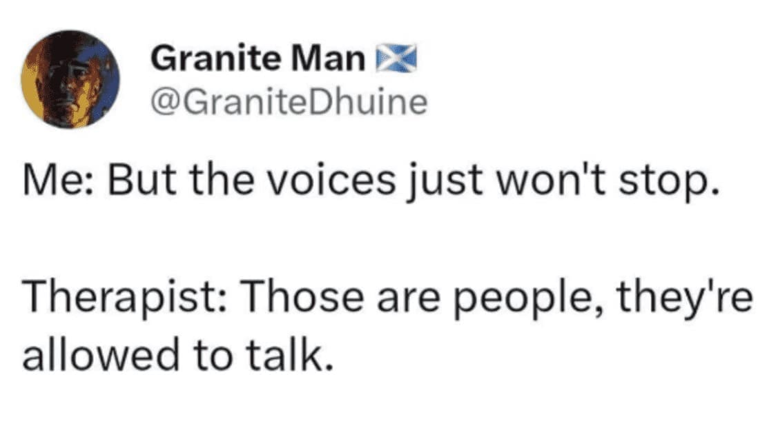 A tweet by @GraniteDhuine: “Me: But the voices just won’t stop. Therapist: Those are people, they’re allowed to talk.”