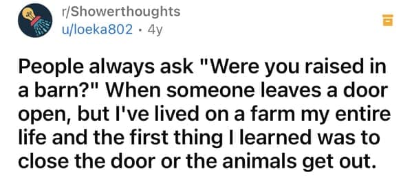 Farm-based response to the phrase “Were you raised in a barn?”