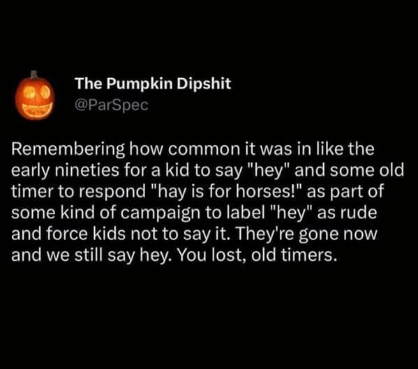 Tweet reminiscing about '90s adults correcting kids saying "hey" with "hay is for horses," evoking millennial memes nostalgia.