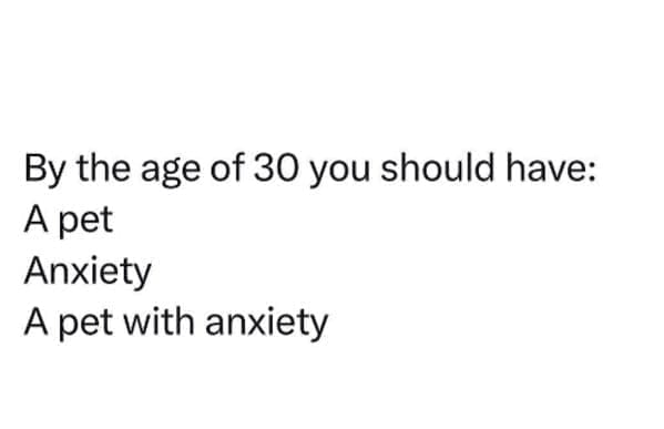 Meme stating by age 30 you should have a pet, anxiety, and a pet with anxiety, a self-aware joke in millennial memes.