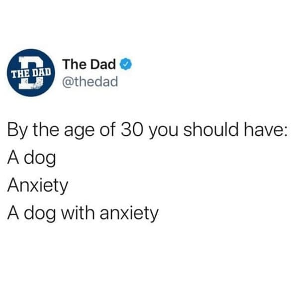 Meme stating by age 30 you should have a dog, anxiety, and a dog with anxiety, showing classic millennial memes humor.