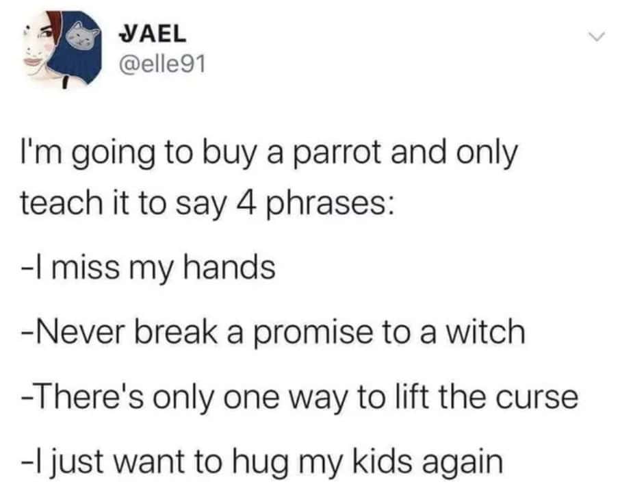 Tweet about teaching a parrot creepy phrases.