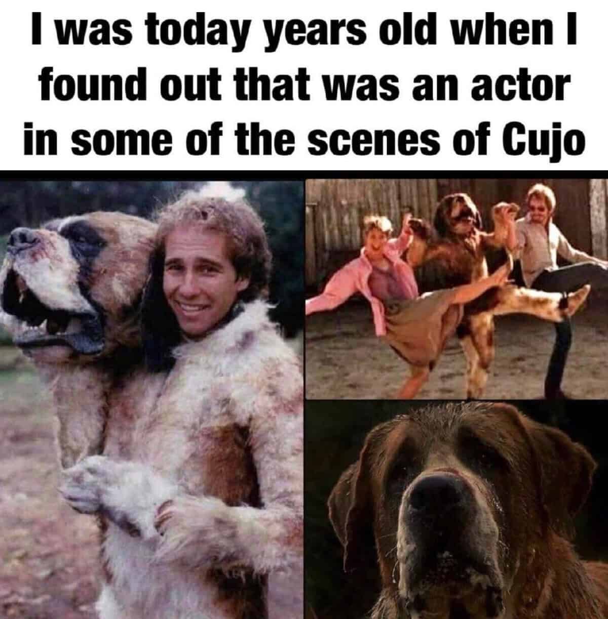 nostalgia memes, throwback memes, retro memes, vintage memes, 90s memes, 80s memes, early 2000s memes, childhood memes, memory memes, pop culture memes, VHS memes, Tamagotchi memes, AIM memes, vintage snack memes, neon memes, floppy disk memes, dial‑up memes, viral throwbacks