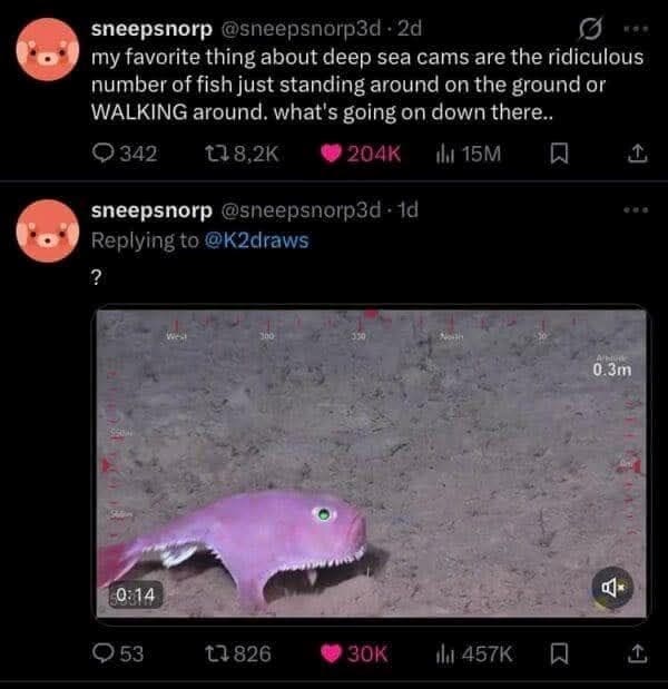 Tweet joking about fish standing in deep sea with screenshot of walking fish