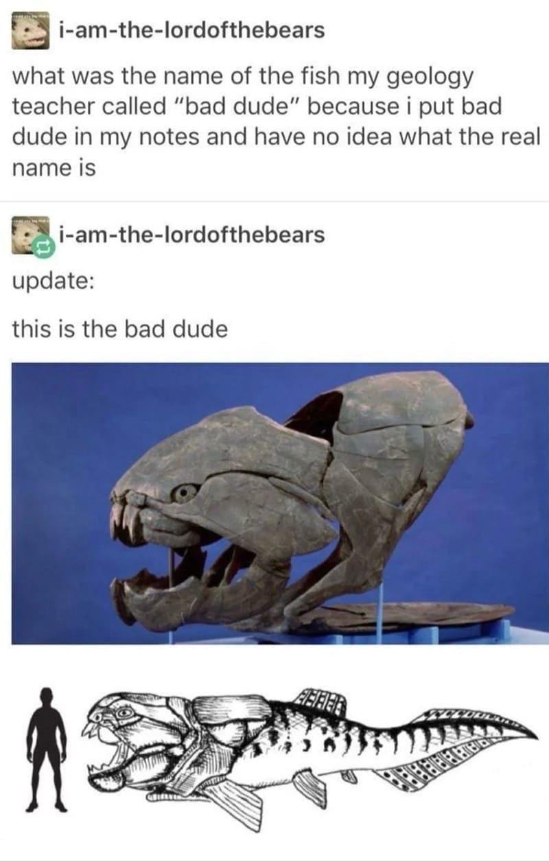 Tumblr post with fossil of prehistoric armored fish nicknamed “the bad dude”