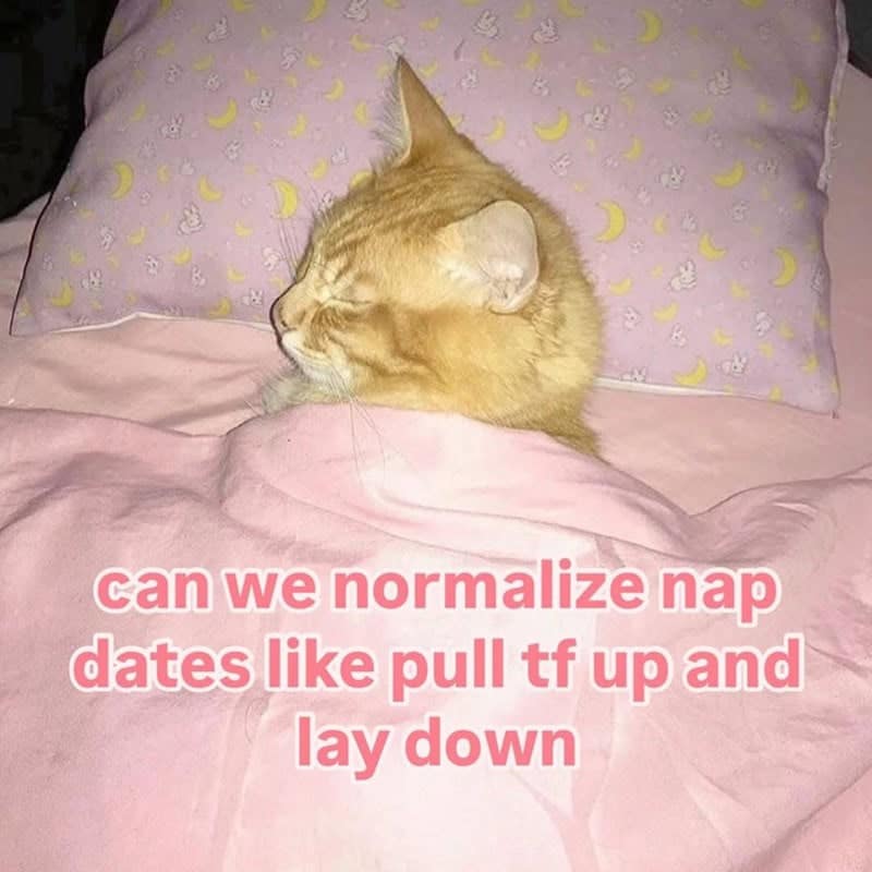 orange cat memes, cat memes, ginger cat memes, cat memes, funny cat memes, viral cat memes, group chat memes, Garfield memes, orange tabby, feline chaos, trending cat memes, ginger kitty, cat owner jokes, pet memes, animal memes, cat personality, zoomies memes, nap king, cat chaos, cute cat memes, cartoon cat memes