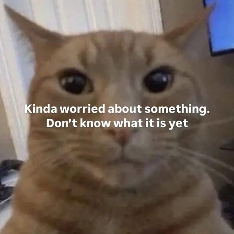 orange cat memes, cat memes, ginger cat memes, cat memes, funny cat memes, viral cat memes, group chat memes, Garfield memes, orange tabby, feline chaos, trending cat memes, ginger kitty, cat owner jokes, pet memes, animal memes, cat personality, zoomies memes, nap king, cat chaos, cute cat memes, cartoon cat memes